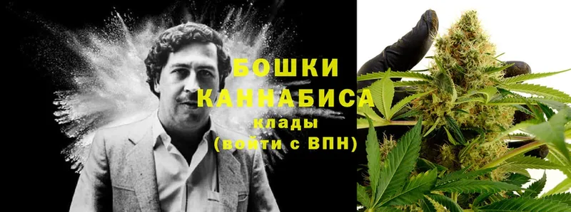 магазин продажи наркотиков  Верхний Уфалей  hydra ССЫЛКА  Канабис Bruce Banner 